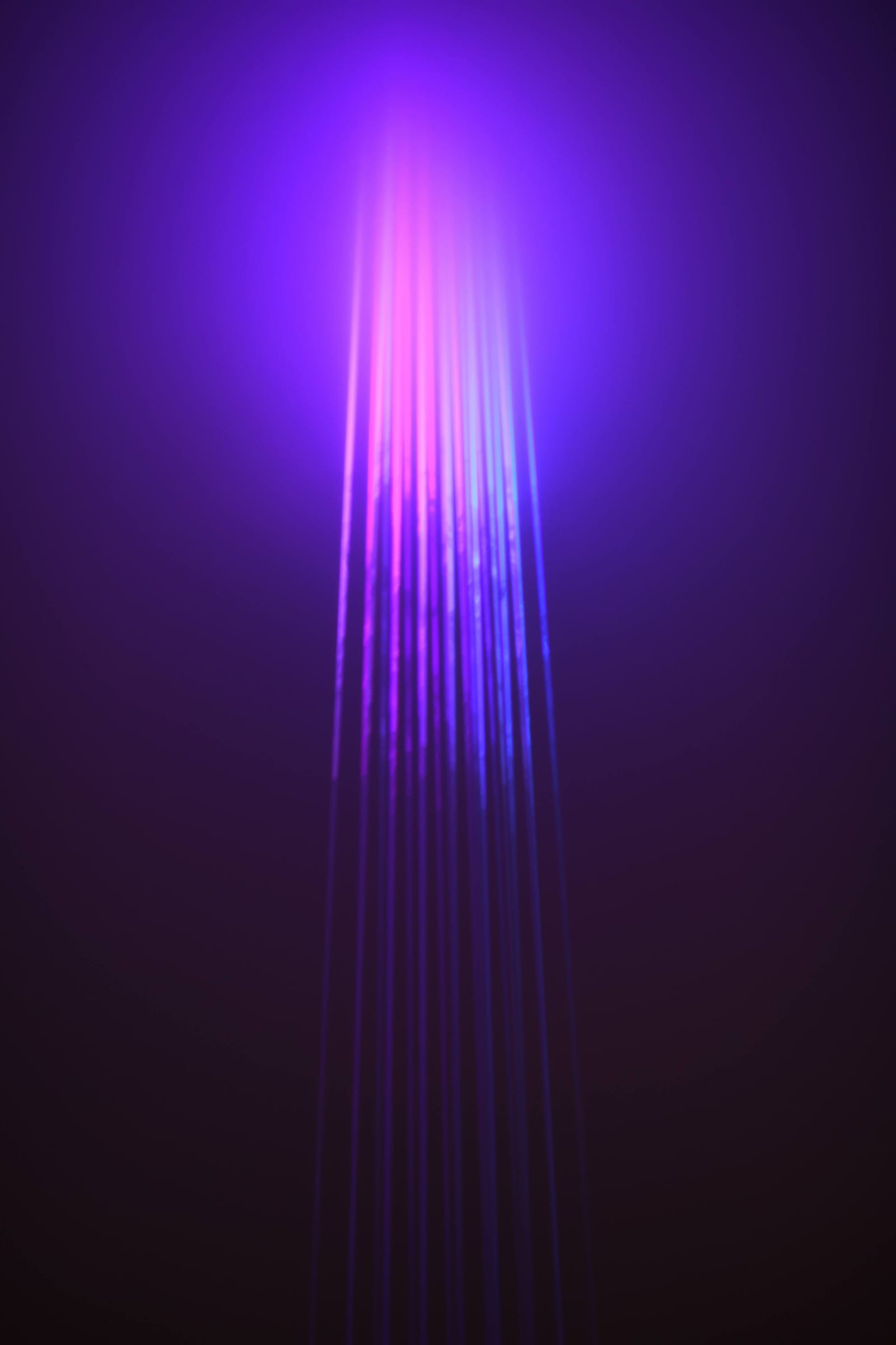 Purple and blue laser beams in the fog
